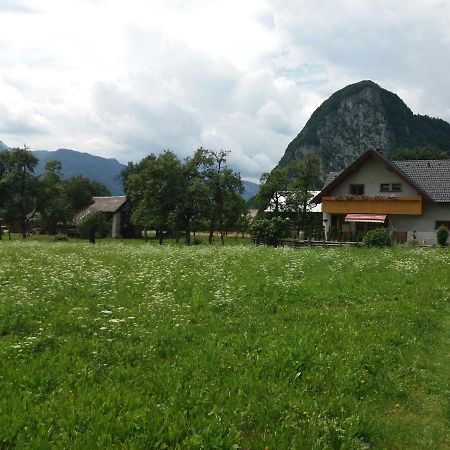 Apartmaji Bremec Bohinj Buitenkant foto