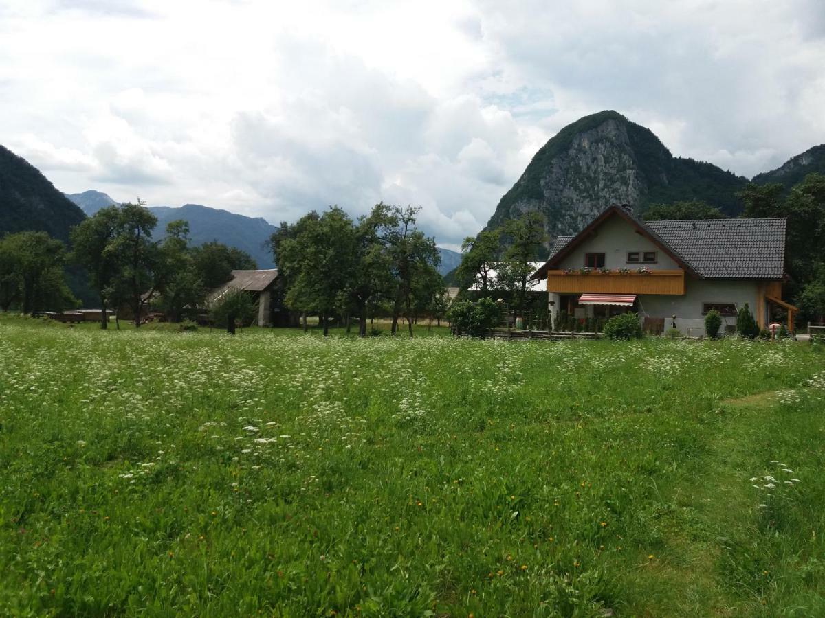 Apartmaji Bremec Bohinj Buitenkant foto